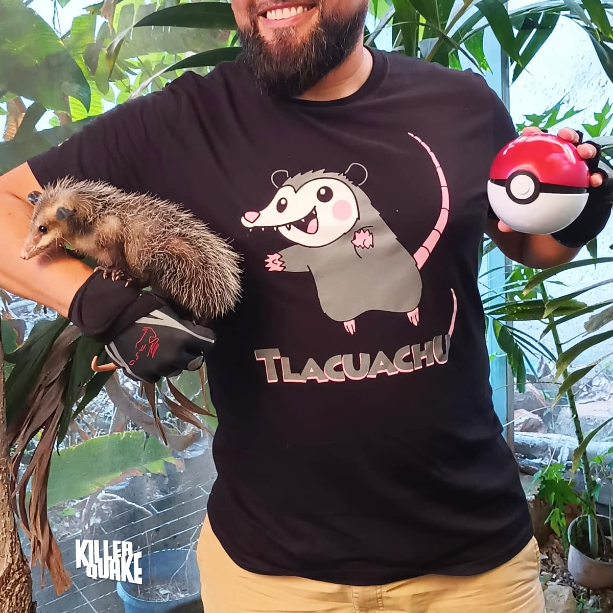 Tlacuachú