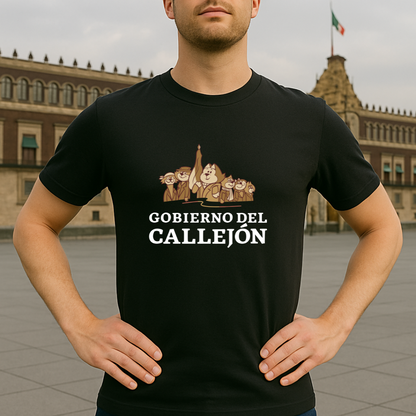 Gobierno del Callejón