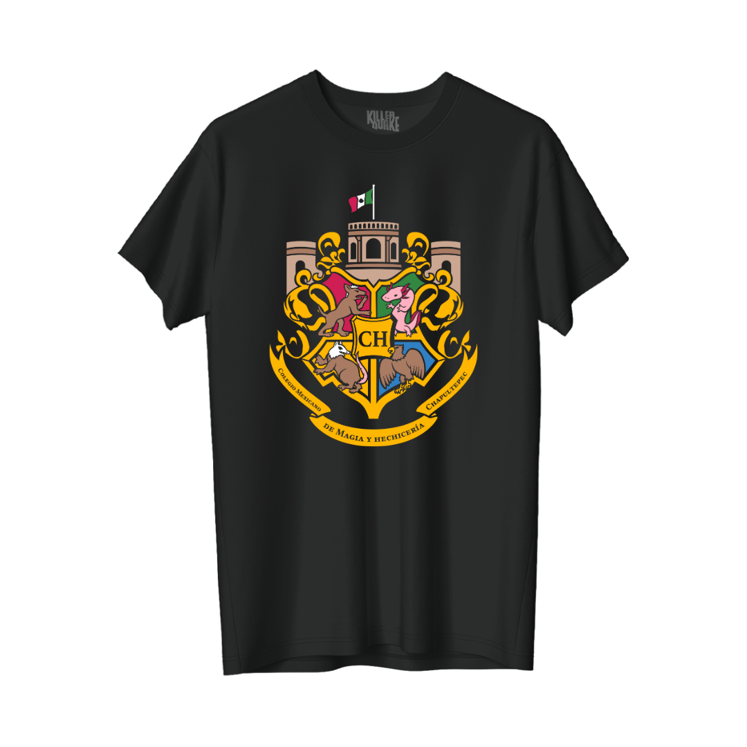 Colegio de Magia
