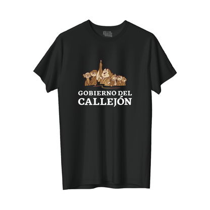 Gobierno del Callejón