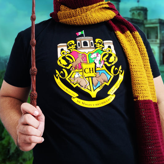 Colegio de Magia