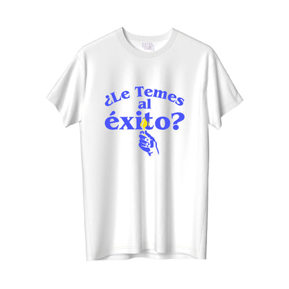 Le temes al éxito?