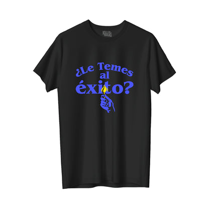 Le temes al éxito?